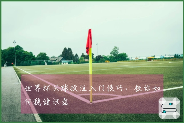 世界杯买球投注入门技巧，教你如何稳健识盘