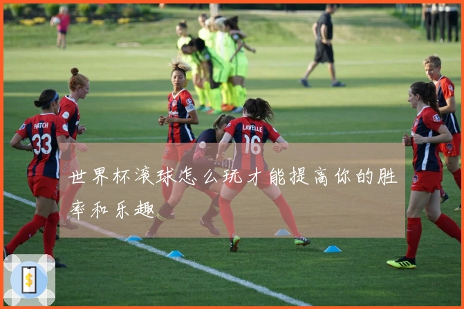 世界杯滚球怎么玩才能提高你的胜率和乐趣