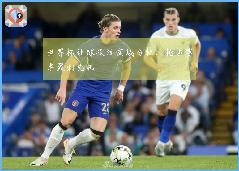 世界杯让球投注实战分析：抢占赛季盈利先机