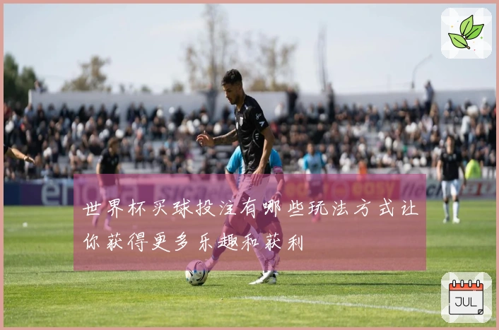 世界杯买球投注有哪些玩法方式让你获得更多乐趣和获利