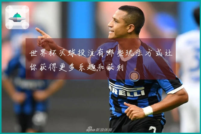 世界杯买球投注有哪些玩法方式让你获得更多乐趣和获利