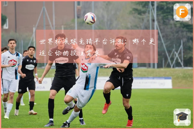 世界杯滚球竞猜平台评测：哪个更适合你的投注需求