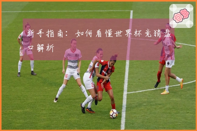 新手指南：如何看懂世界杯竞猜盘口解析