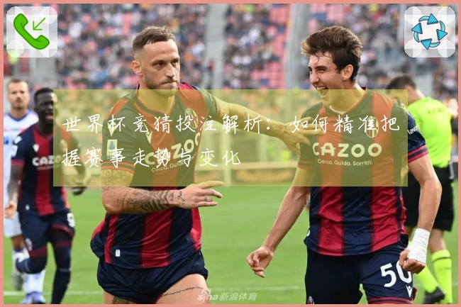 世界杯竞猜投注解析：如何精准把握赛事走势与变化