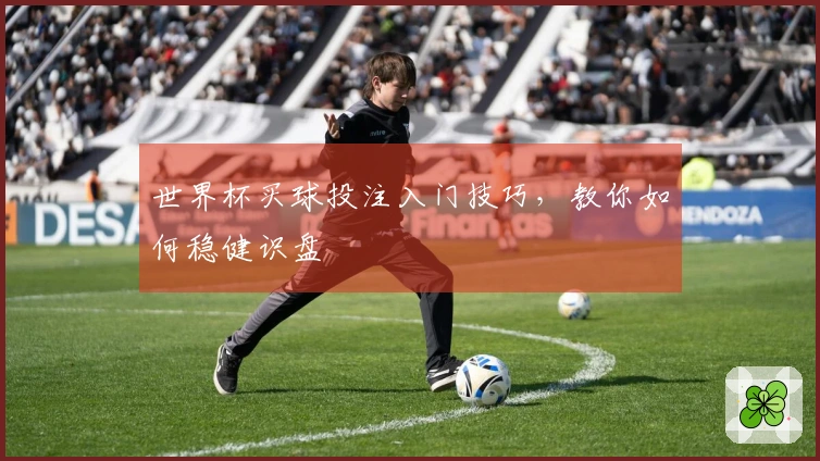 世界杯买球投注入门技巧，教你如何稳健识盘