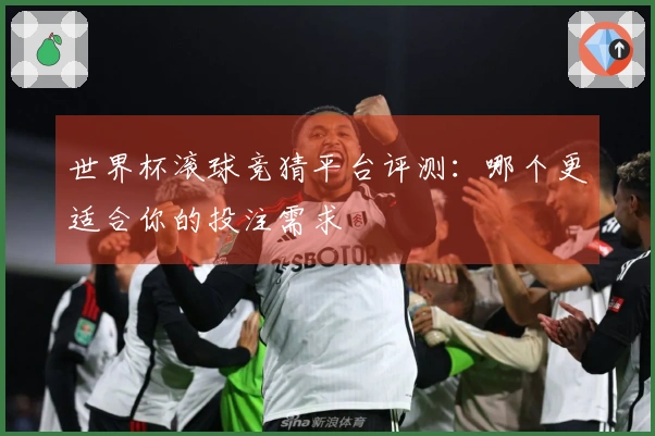 世界杯滚球竞猜平台评测：哪个更适合你的投注需求