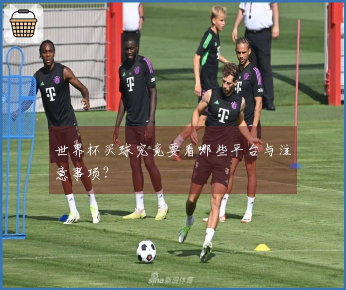 世界杯买球究竟要看哪些平台与注意事项？